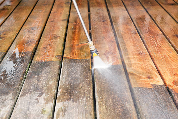 Animal Enclosure Cleaning in Carpentersville, IL
